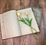 Small Blooming Tulip set of 2