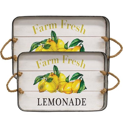 Farm Fresh Lemonade Tray Medium or Large