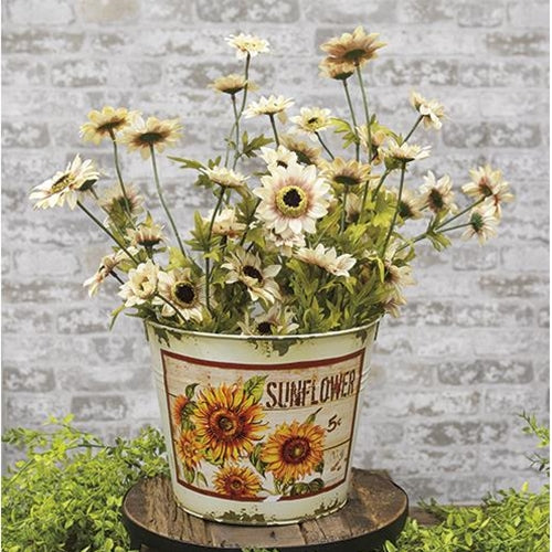Sunflower Bucket Distressed Cream